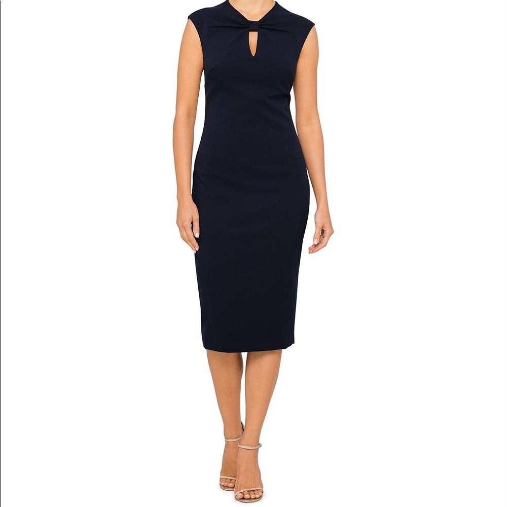 Ted Baker Kezzia Bodycon Midi Dress